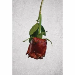 ARTIDEE | CREARTEC Immersion Rust - Set -Deals Strokezy Store ARTIDEE7CCREARTECImmersionRust set 3