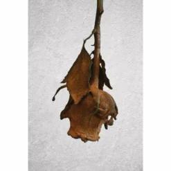 ARTIDEE | CREARTEC Immersion Rust - Set -Deals Strokezy Store ARTIDEE7CCREARTECImmersionRust set 5