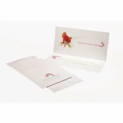 Clairefontaine 'Pollen' DIN Long Folding Cards -Deals Strokezy Store Clairefontaine26230393BPollen26230393BDINLongFoldingCards 4