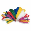 Coloured Goose Feathers -Deals Strokezy Store ColouredGooseFeathers