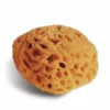 Natural Sponge — 14 Cm -Deals Strokezy Store NaturalSpongeE2809414cm