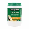 Cléopâtre Cléo'Cadre Framing Glue -Deals Strokezy Store ClC3A9opC3A2treClC3A9o26230393BCadreFramingGlue