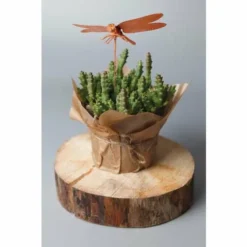 Creartec Dipping Metal -Deals Strokezy Store CreartecDippingMetal 2