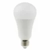 Daylight Energy Saving Bulbs 1 Daylight Energy Saving Bulbs -Deals Strokezy Store DaylightEnergySavingBulbs