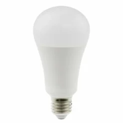 Daylight Energy Saving Bulbs