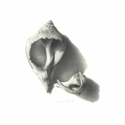 Derwent Graphic Pencil Sets -Deals Strokezy Store DerwentGraphicPencilSets 3