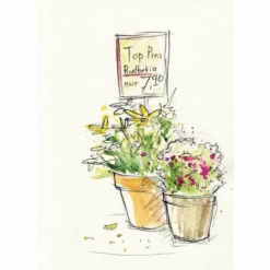 Faber Castell Watercolour Sets 11 Faber Castell Watercolour Sets -Deals Strokezy Store FaberCastellWatercolourSets 3