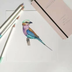 Tombow® Irojiten Book Box Sets Of Coloured Pencils -Deals Strokezy Store IrojitenBookBoxSetsofColouredPencils 4