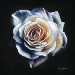 PanPastel Kirsty Rebecca Set -Deals Strokezy Store PanPastelKirstyRebeccaSet 3