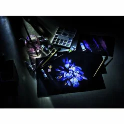 Royal Talens | Van Gogh Pocket Box — 12 Metallic & Interference Colours -Deals Strokezy Store RoyalTalens7CvanGoghPocketBoxE2809412metallic26amp3Binterferencecolours 3