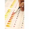 Winsor & Newton Professional Watercolour Dot Card -Deals Strokezy Store Winsor26amp3BNewtonProfessionalWatercolourDotCard